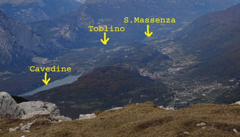 Phoenicurus ochruros - Muscicapidae